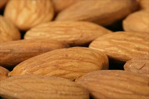 تصویر 2 از قیمت خرید بادام درختی طبایع با فروش عمده